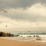 Noosa beaches