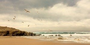 Noosa beaches