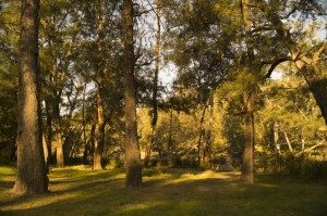 Noosa hinterland